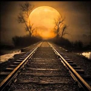 Meet your Posher, Charlene